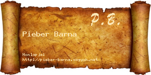 Pieber Barna névjegykártya